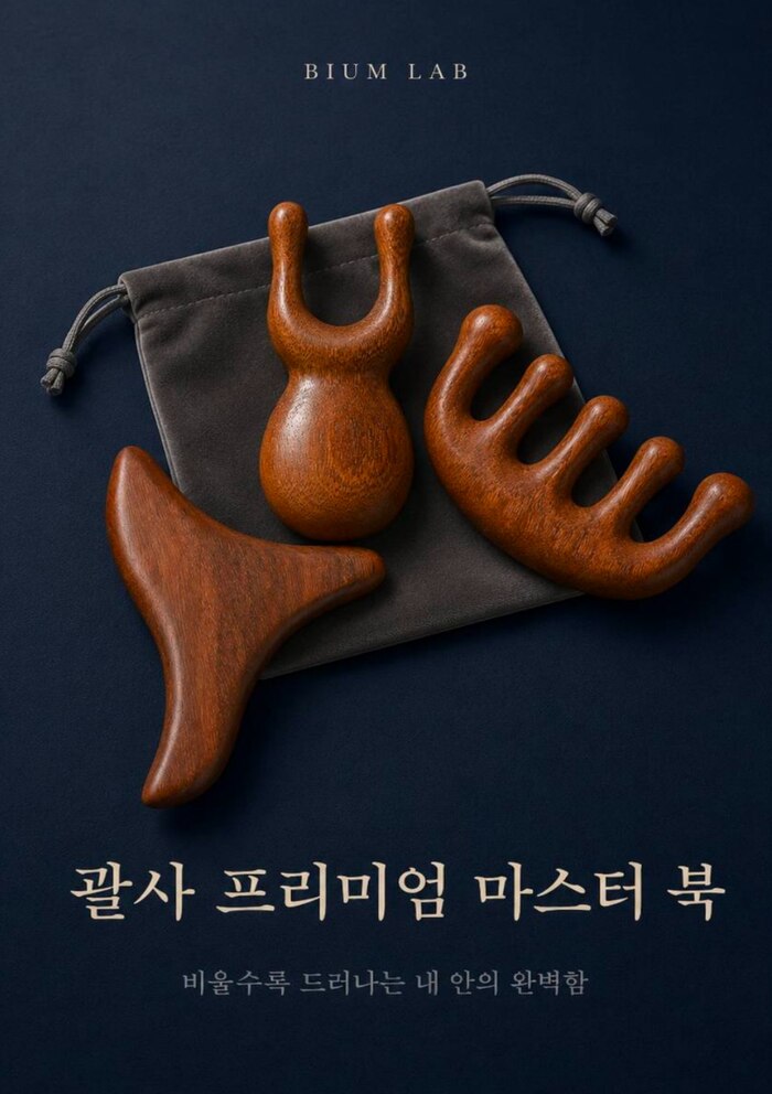 괄사 프리미엄 마스터북 표지
